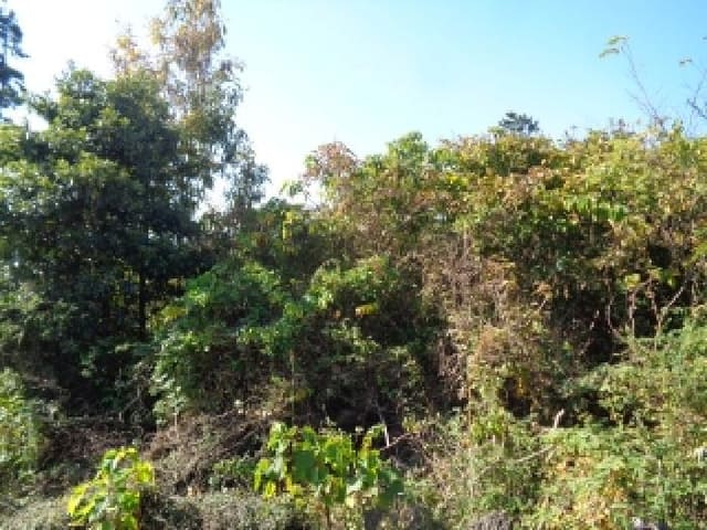 B000530202501300089632.jpg