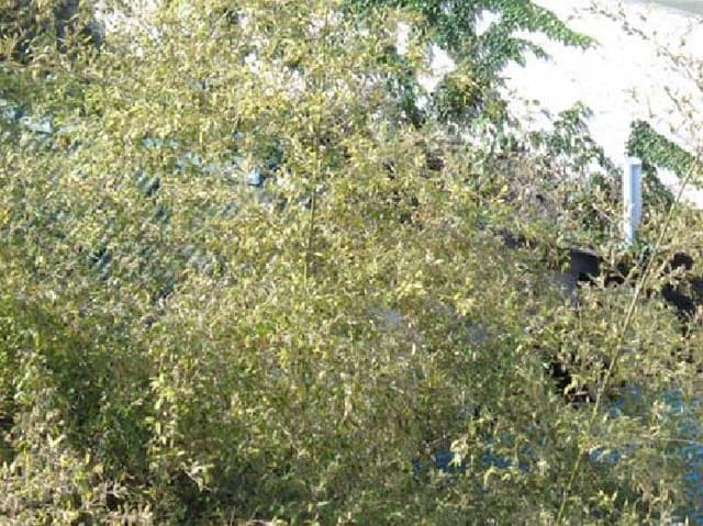 B000530202501300089672.jpg