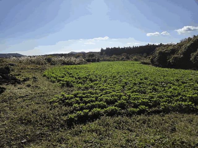 B0005302025013000900315.jpg