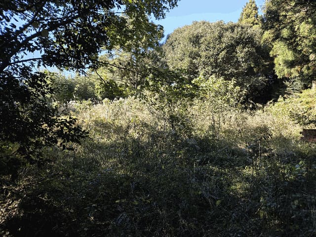 B0005302025013000900316.jpg