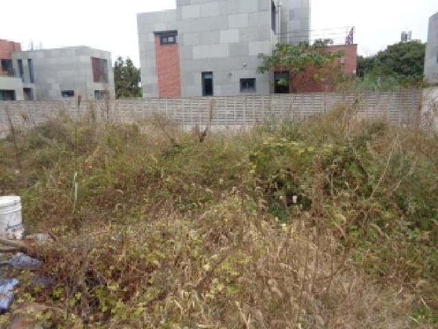 B000530202501300090393.jpg