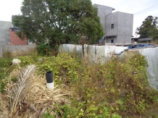 B000530202501300090392.jpg
