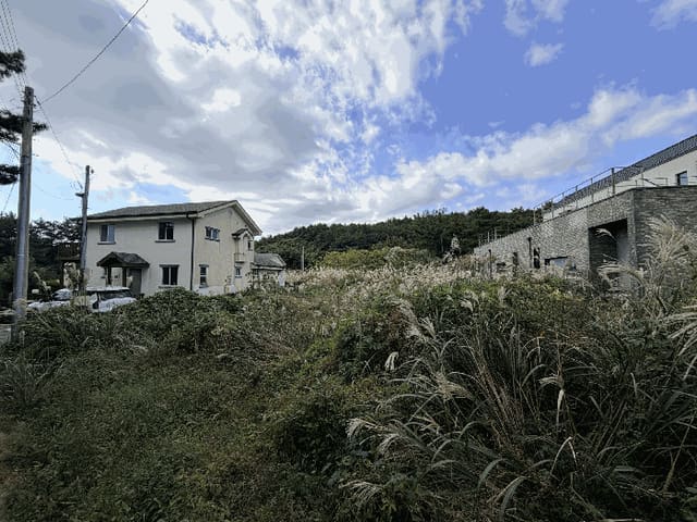 B000530202501300090583.jpg