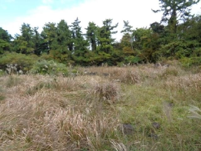 B000530202501300090621.jpg