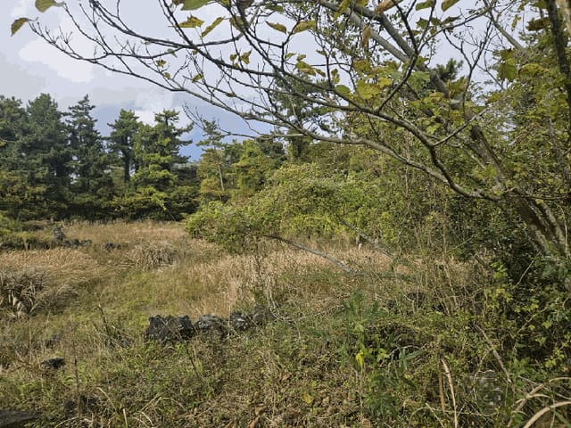 B000530202501300090624.jpg