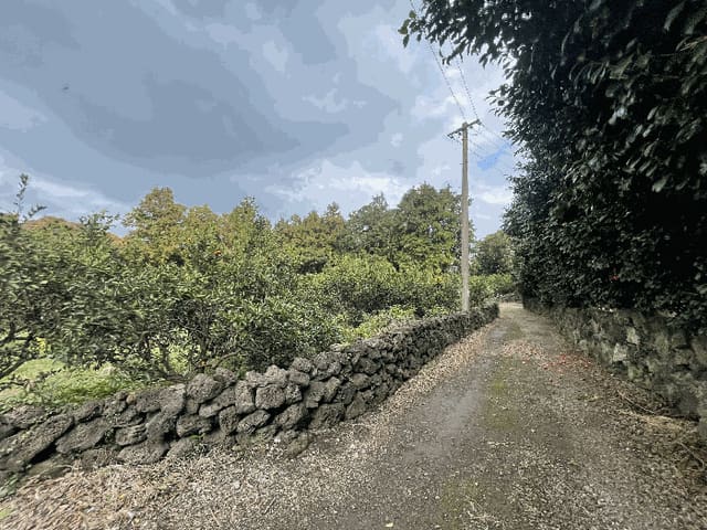B0005302025013000906419.jpg