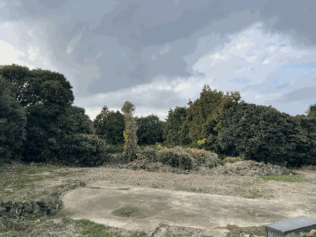 B0005302025013000906417.jpg