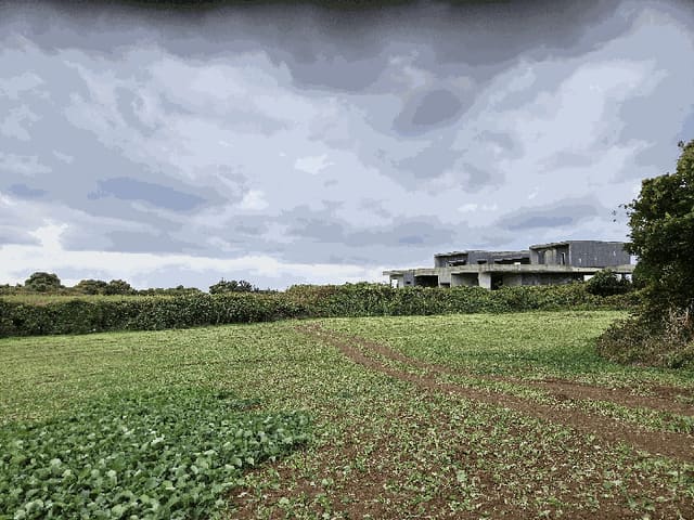 B0005302025013000907515.jpg