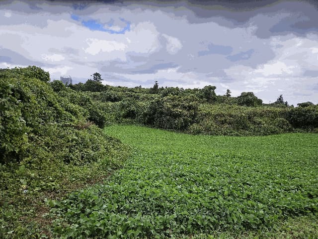 B0005302025013000907514.jpg