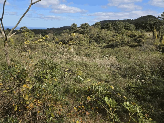 B000530202501300090814.jpg