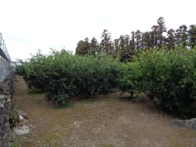 B000530202501300090901.jpg
