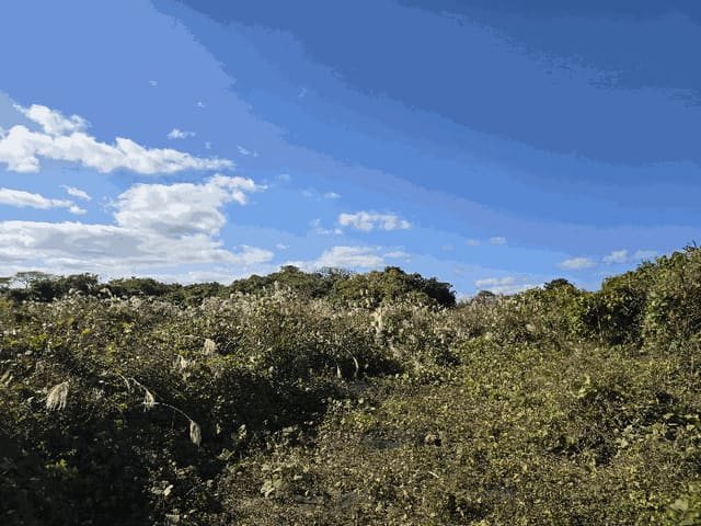 B000530202501300090934.jpg