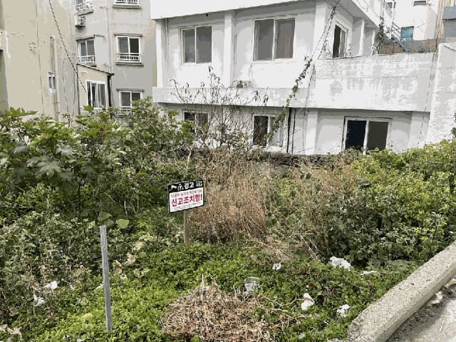 B000530202501300091344.jpg