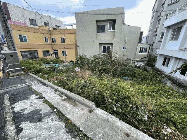 B000530202501300091343.jpg