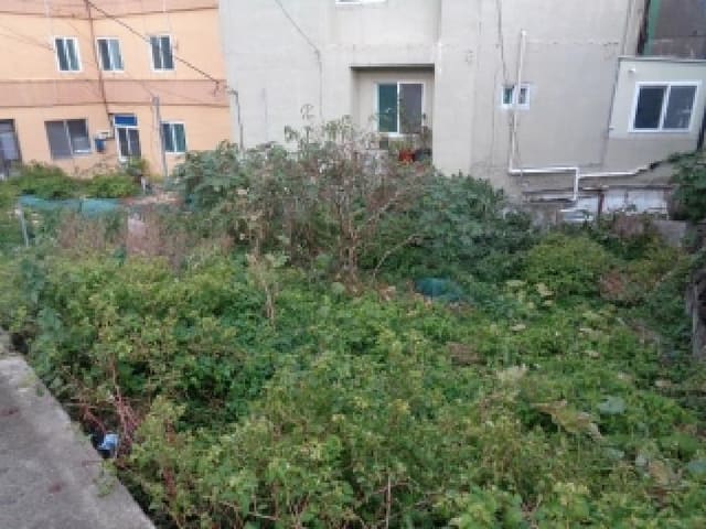 B000530202501300091341.jpg