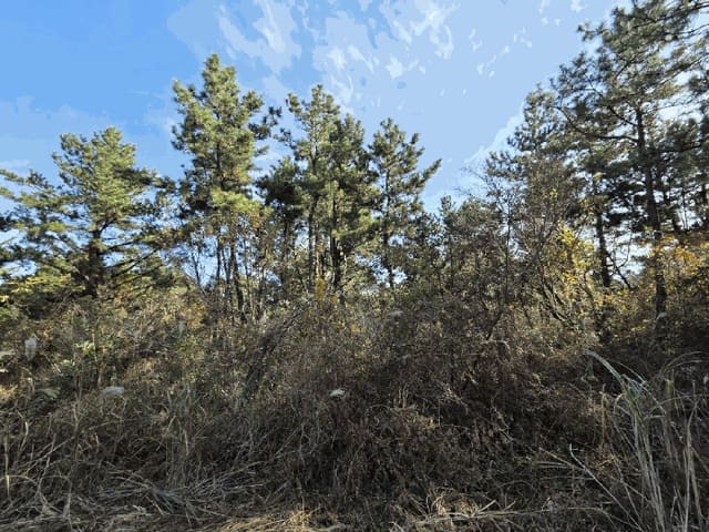 B000530202501300091914.jpg