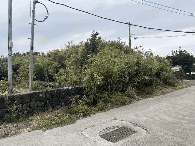 B0005302025013000931811.jpg