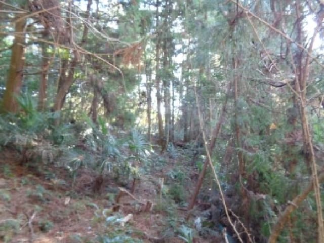 B000530202501300093341.jpg