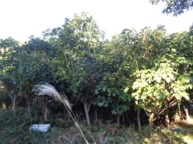 B000530202501300093344.jpg