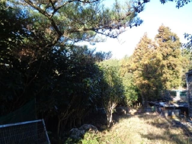 B000530202501300093343.jpg
