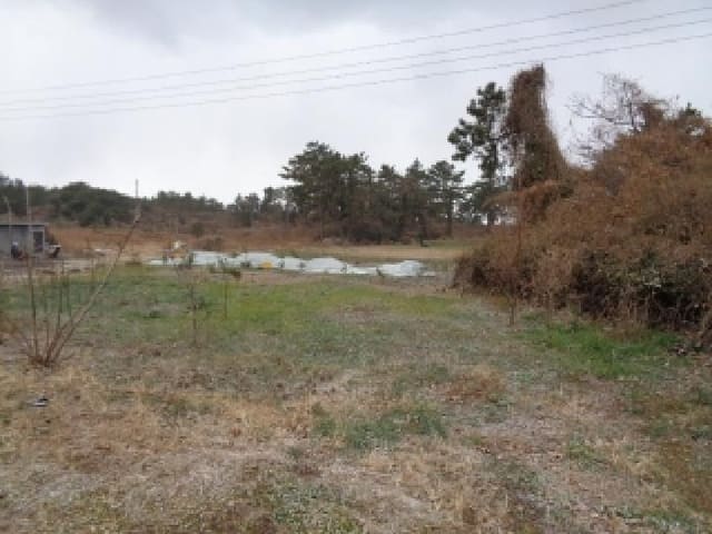 B000530202601300000111.jpg