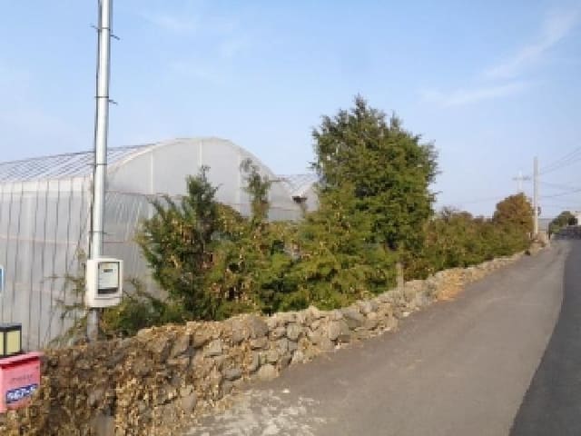 B000530202601300000142.jpg