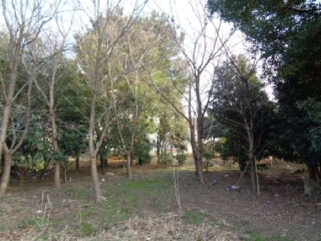 B000530202601300000243.jpg