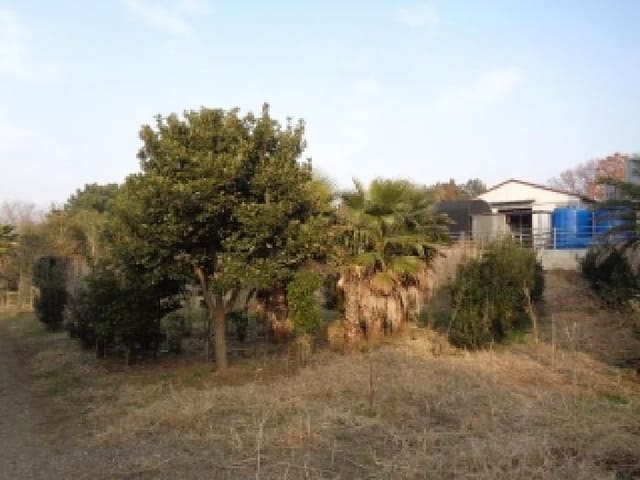 B000530202601300000242.jpg