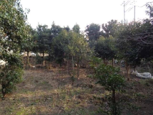 B000530202601300000244.jpg