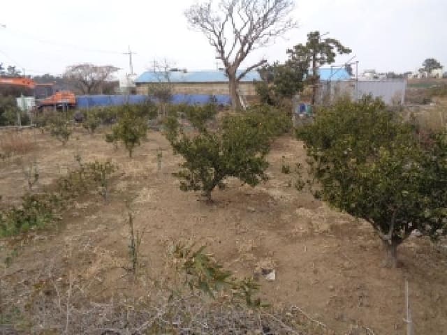 B000530202601300000753.jpg