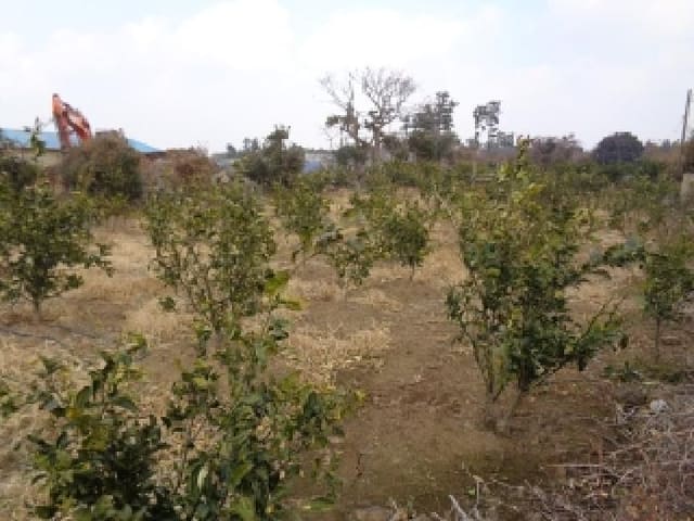 B000530202601300000752.jpg