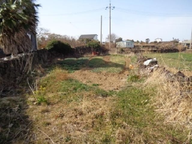 B000530202601300000952.jpg