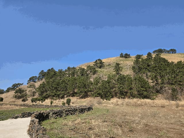 B000530202601300001454.jpg