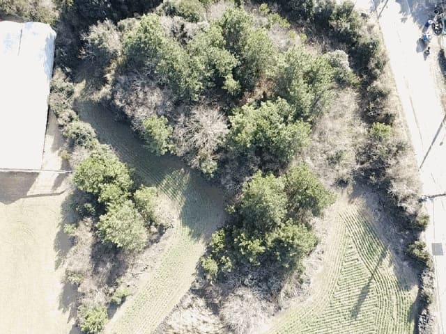 B0005302026013001008110.jpg