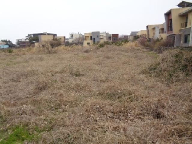 B000530202601300102432.jpg