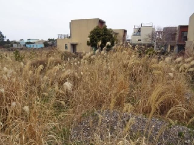B000530202601300102431.jpg