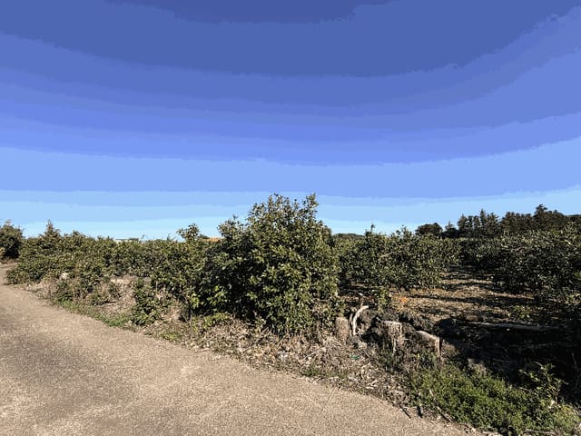 B000530202601300102534.jpg