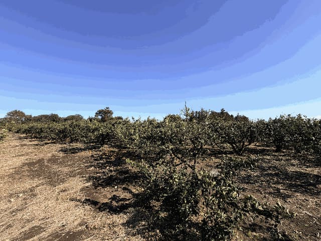 B000530202601300102532.jpg