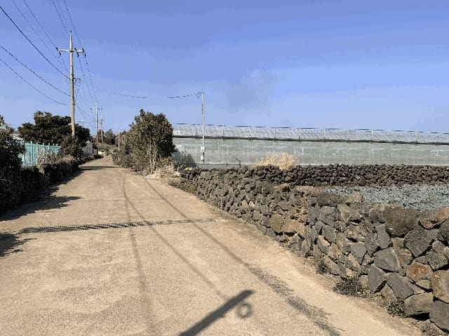 B000530202601300102644.jpg