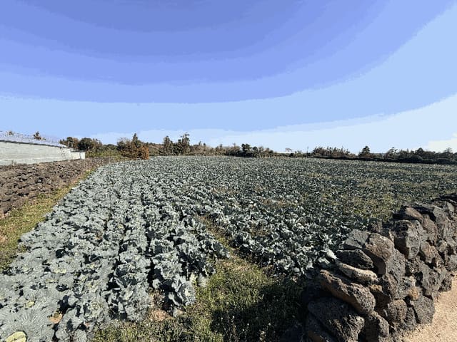 B000530202601300102642.jpg
