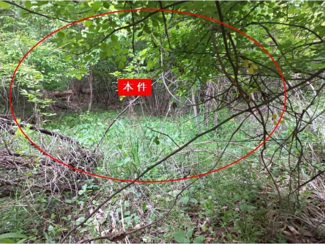 B214804202401300753383.jpg