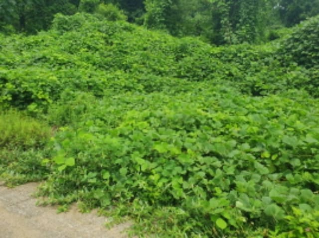 B214804202401300794393.jpg