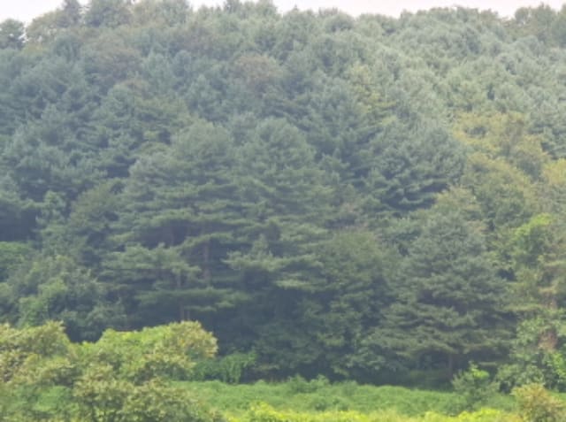 B214804202401300806751.jpg