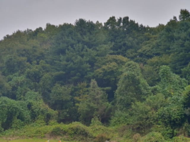 B214804202401300831484.jpg