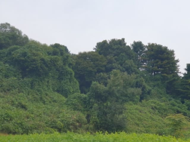B214804202401300831482.jpg