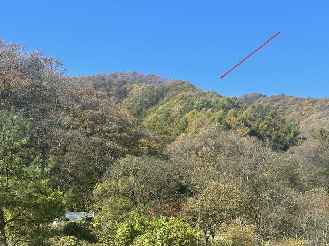 B214804202401300849436.jpg