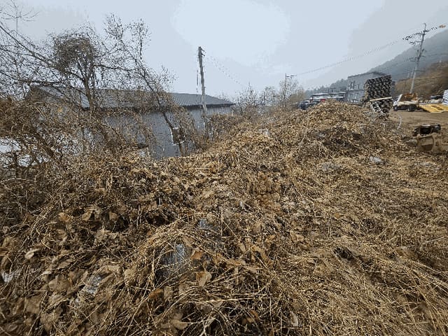 B2148042025013000085015.jpg