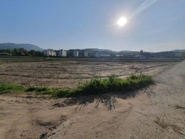 B214804202501300015252.jpg
