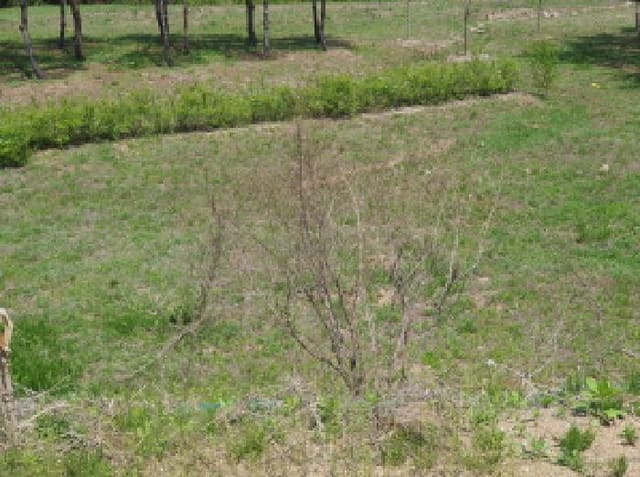 B214804202501300015322.jpg