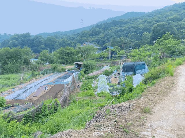 B214804202501300016933.jpg
